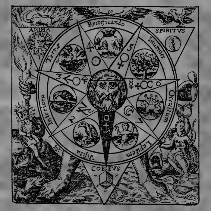 Alchemy Hermeticism Occult Magic Magick Graphic Tee Tall Sweatshirt