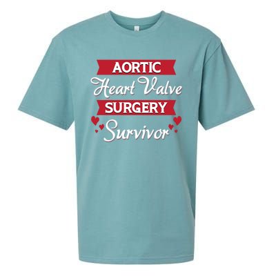 Aortic Heart Surgery Survivor Heart Disease Awareness Month Cool Gift Sueded Cloud Jersey T-Shirt