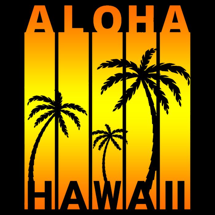Aloha Hawaii Sunset Palm Trees Mesh Reversible Basketball Jersey Tank