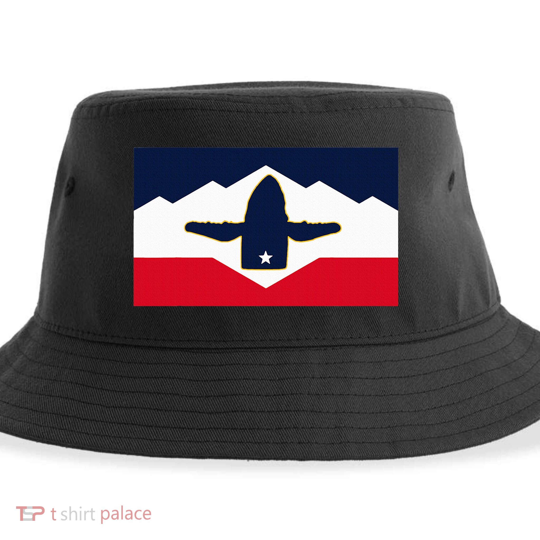 All Hail The Whale New Utah Flag Salt Lake City Slc Design Sustainable Bucket Hat
