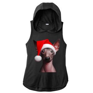 American Hairless Terrier With Santa Hat Christmas Dog Mom Meaningful Gift Ladies PosiCharge Tri-Blend Wicking Draft Hoodie Tank