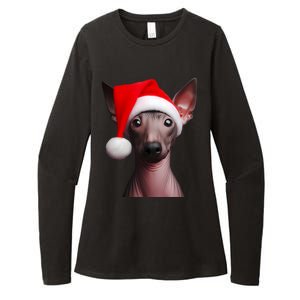 American Hairless Terrier With Santa Hat Christmas Dog Mom Meaningful Gift Womens CVC Long Sleeve Shirt