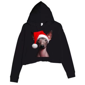 American Hairless Terrier With Santa Hat Christmas Dog Mom Meaningful Gift Crop Fleece Hoodie