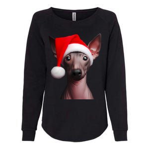 American Hairless Terrier With Santa Hat Christmas Dog Mom Meaningful Gift Womens California Wash Sweatshirt