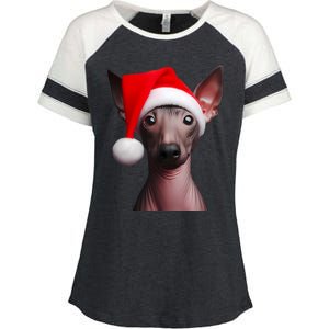 American Hairless Terrier With Santa Hat Christmas Dog Mom Meaningful Gift Enza Ladies Jersey Colorblock Tee