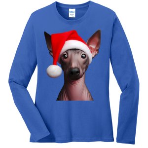 American Hairless Terrier With Santa Hat Christmas Dog Mom Meaningful Gift Ladies Long Sleeve Shirt