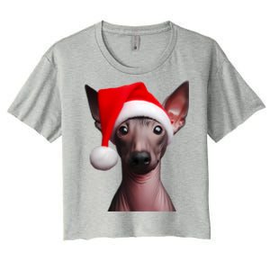 American Hairless Terrier With Santa Hat Christmas Dog Mom Meaningful Gift Women's Crop Top Tee