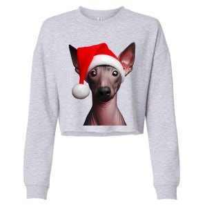 American Hairless Terrier With Santa Hat Christmas Dog Mom Meaningful Gift Cropped Pullover Crew