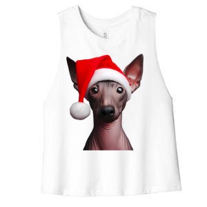 American Hairless Terrier With Santa Hat Christmas Dog Mom Meaningful Gift Women's Racerback Cropped Tank