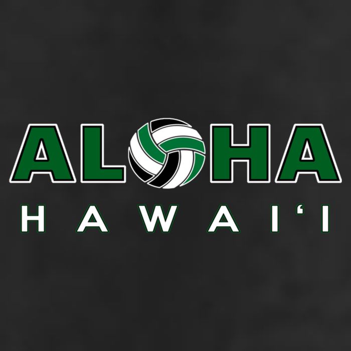 Aloha Hawaii Volleyball Gift Beanie