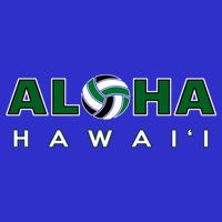 Aloha Hawaii Volleyball Gift Premium T-Shirt