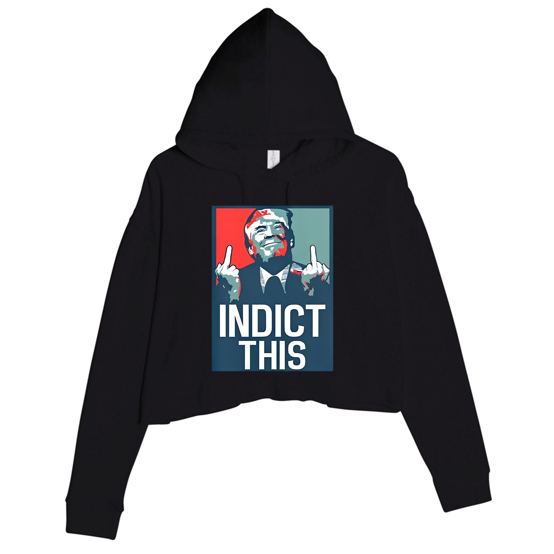 Alina Habba Wearing Indict This Trump Crop Fleece Hoodie