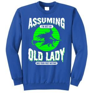 Assuming Im An Old Lady Was Your First Mistake Witch Gift Sweatshirt