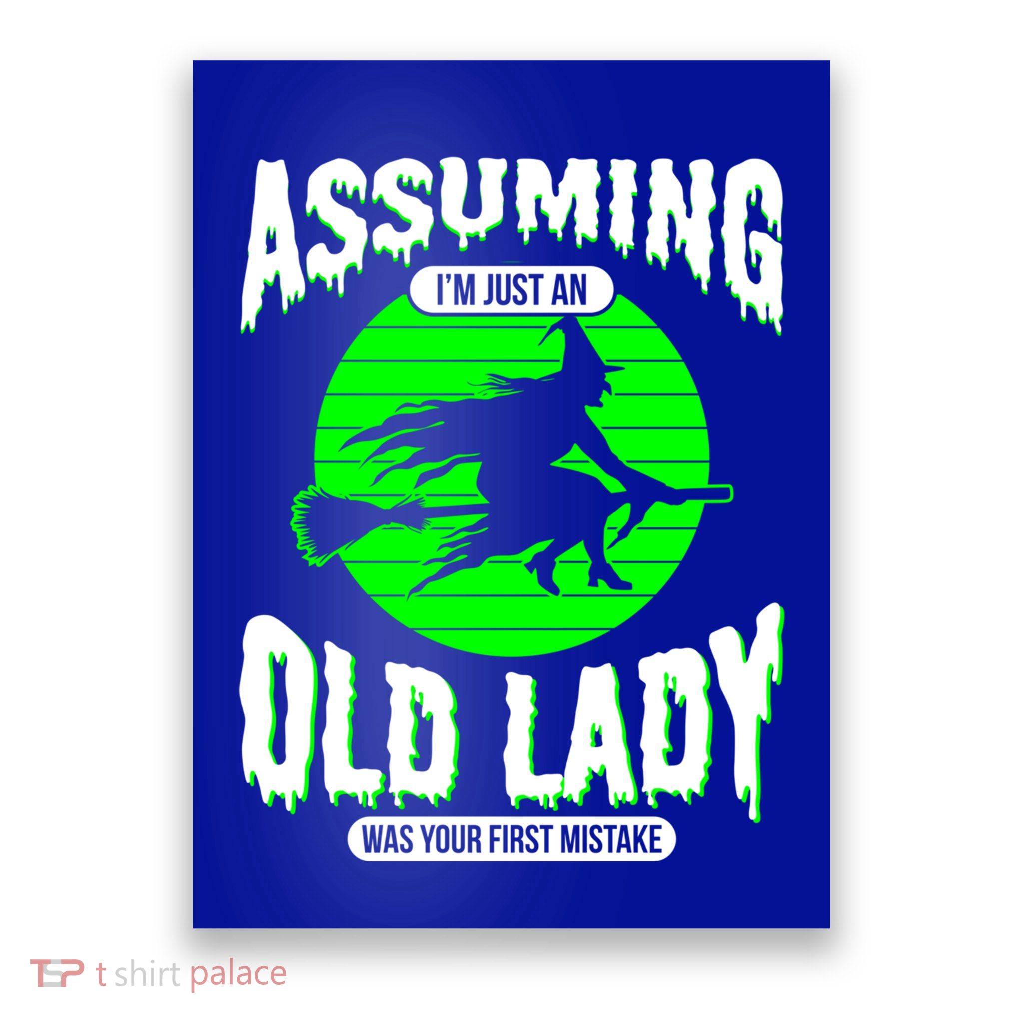 Assuming Im An Old Lady Was Your First Mistake Witch Gift Poster