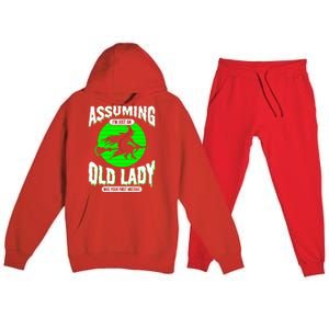 Assuming Im An Old Lady Was Your First Mistake Witch Gift Premium Hooded Sweatsuit Set