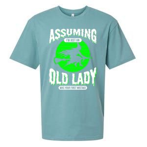 Assuming Im An Old Lady Was Your First Mistake Witch Gift Sueded Cloud Jersey T-Shirt