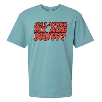 Am I Acting My Age Now Sueded Cloud Jersey T-Shirt