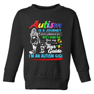 Autism Is A Journey Autism Awareness Toddler Sweatshirt