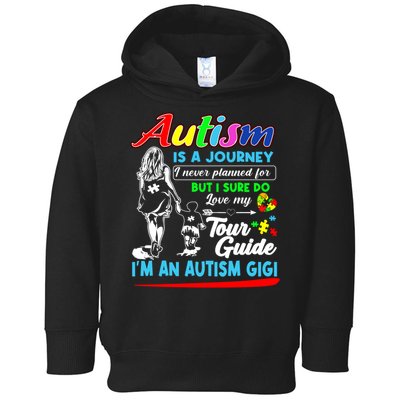 Autism Is A Journey Autism Awareness Toddler Hoodie