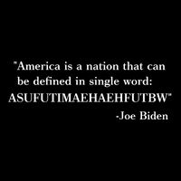 America Is A Nation That Can Be Defined In Single Word Joe Biden Meme Stripe Pom Pom Beanie