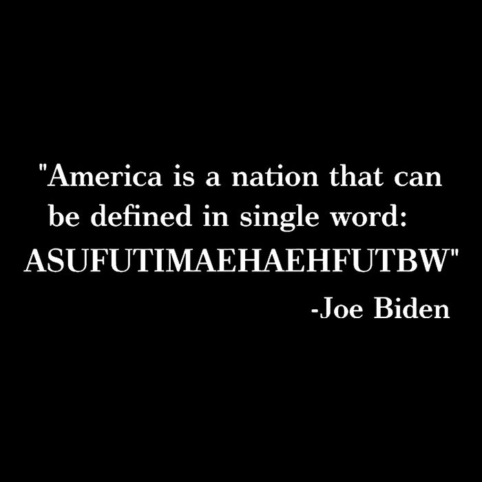 America Is A Nation That Can Be Defined In Single Word Joe Biden Meme Stripe Pom Pom Beanie
