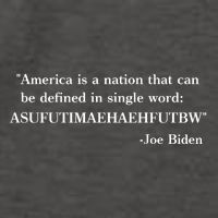 America Is A Nation That Can Be Defined In Single Word Joe Biden Meme Vector Backpack