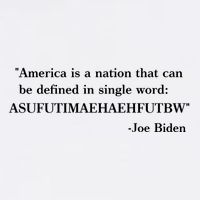 America Is A Nation That Can Be Defined In Single Word Joe Biden Meme Magnet