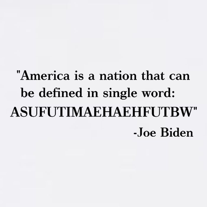 America Is A Nation That Can Be Defined In Single Word Joe Biden Meme Magnet