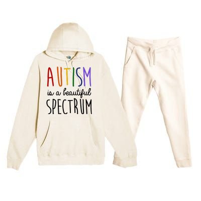 Autism Is A Beautiful Spectrum Awareness Premium Hooded Sweatsuit Set