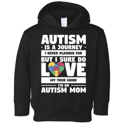 Autism Is A Journey I Never Planned For But I Sure Do Love Gift Toddler Hoodie