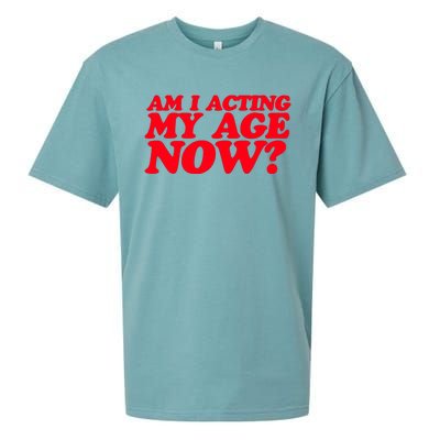 Am I Acting My Age Now Sueded Cloud Jersey T-Shirt