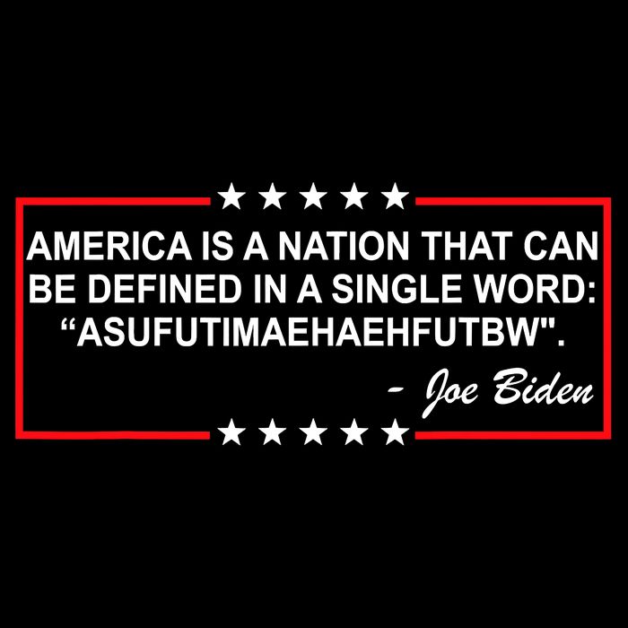 America Is A Nation That Can Be Defined In A Single Word Funny Joe Biden Quote 7-Panel Snapback Hat