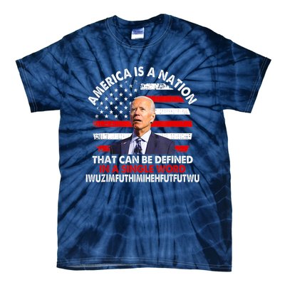 America Is A Nation That Can Be Defined In Single Word Biden Tie-Dye T-Shirt