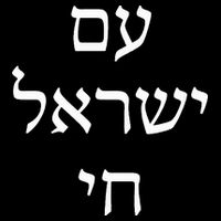 Am Israel Chai Jewish Pride Support Israel Hebrew Jerusalem  Tall T-Shirt