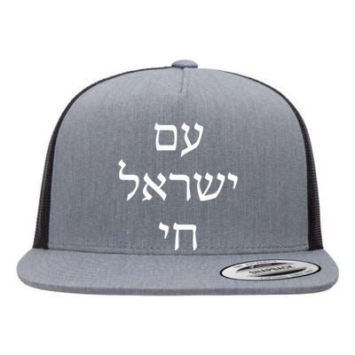 Am Israel Chai Jewish Pride Support Israel Hebrew Jerusalem  Flat Bill Trucker Hat