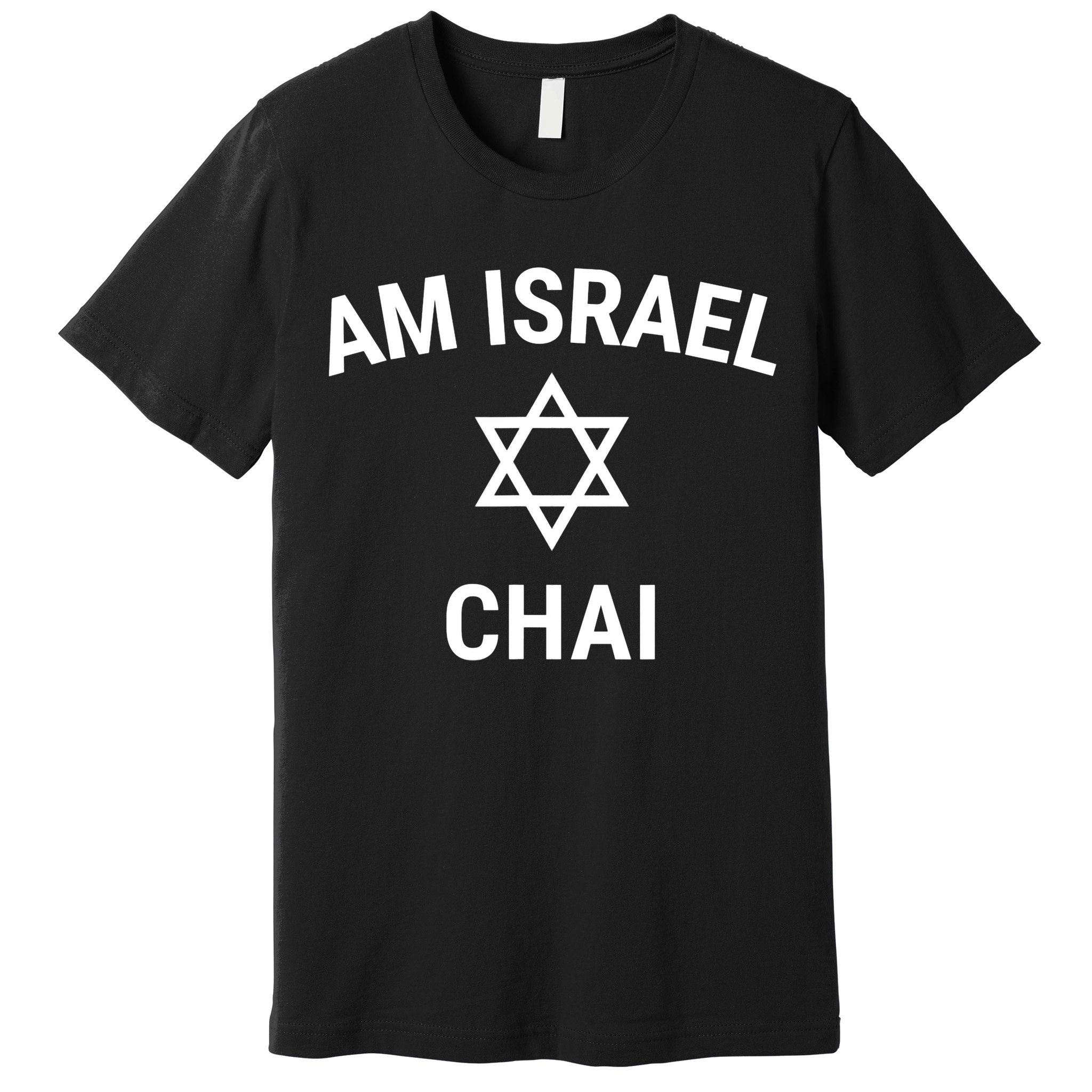 Am Israel Chai Jewish Pride Support Israeli Hebrew Jerusalem Premium T-Shirt