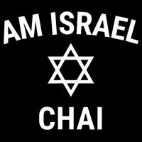 Am Israel Chai Jewish Pride Support Israeli Hebrew Jerusalem Women's V-Neck T-Shirt