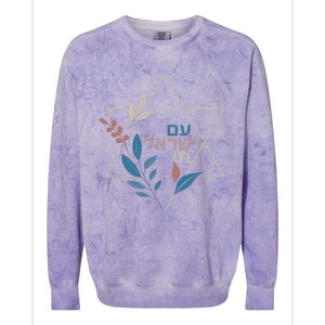 Am Israel Chai Jewish Pride Support Israeli Hebrew Jerusalem Colorblast Crewneck Sweatshirt