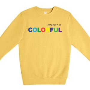 America Is Colorful Positive Message Gift Usa Great Gift Premium Crewneck Sweatshirt