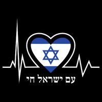 Am Israel Chai Israel Flag Heartbeat Love Hebrew Magen David Kids Hoodie