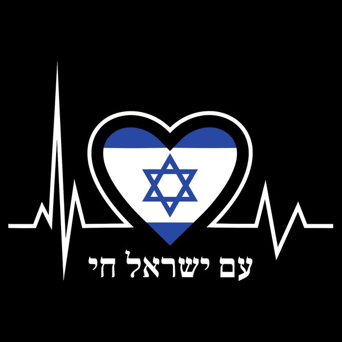 Am Israel Chai Israel Flag Heartbeat Love Hebrew Magen David Kids Hoodie