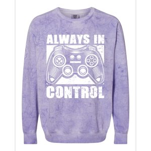 Always In Control Funny Video Game Player Quote Gaming Lover Gift Colorblast Crewneck Sweatshirt