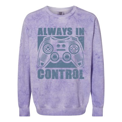 Always In Control Funny Video Game Player Quote Gaming Lover Gift Colorblast Crewneck Sweatshirt