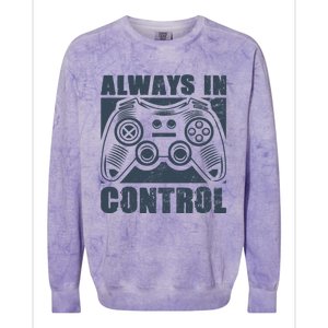 Always In Control Funny Video Game Player Quote Gaming Lover Cute Gift Colorblast Crewneck Sweatshirt