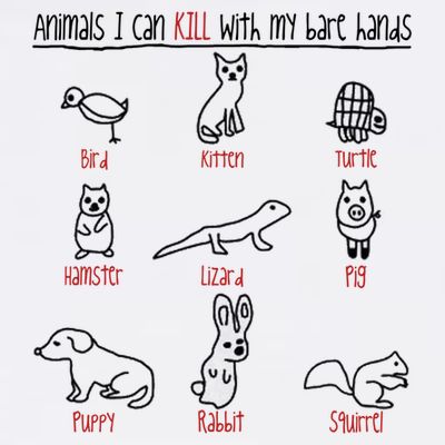 Animals I Can Kill With My Bare Hands Funny Gift Animal Lover T-Shirt