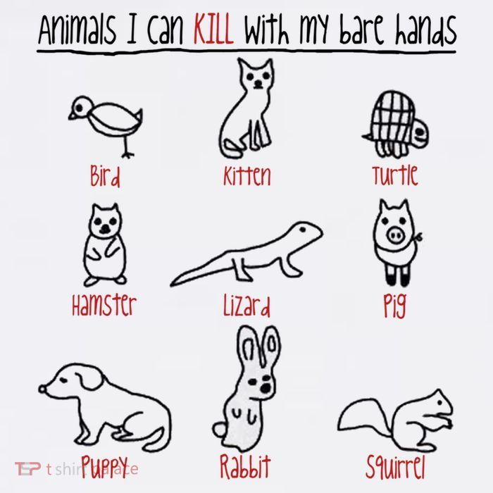 Animals I Can Kill With My Bare Hands Funny Gift Animal Lover Womens T-Shirt