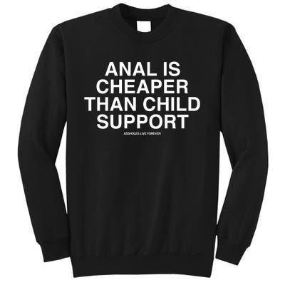 Anal Is Cheaper Than Child Support Assholes Live Forever Sweatshirt