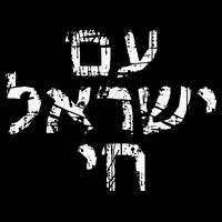 Am Israel Chai Jewish Pride Support Israeli Hebrew Jerusalem 16 in Basic Backpack