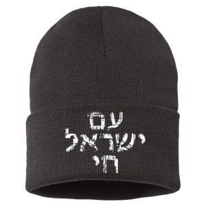 Am Israel Chai Jewish Pride Support Israeli Hebrew Jerusalem Sustainable Knit Beanie