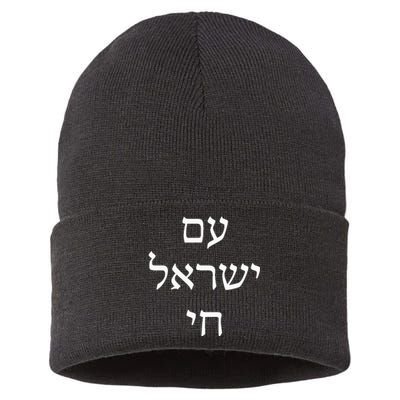 Am Israel Chai Jewish Pride Support Israel Hebrew Jerusalem Sustainable Knit Beanie